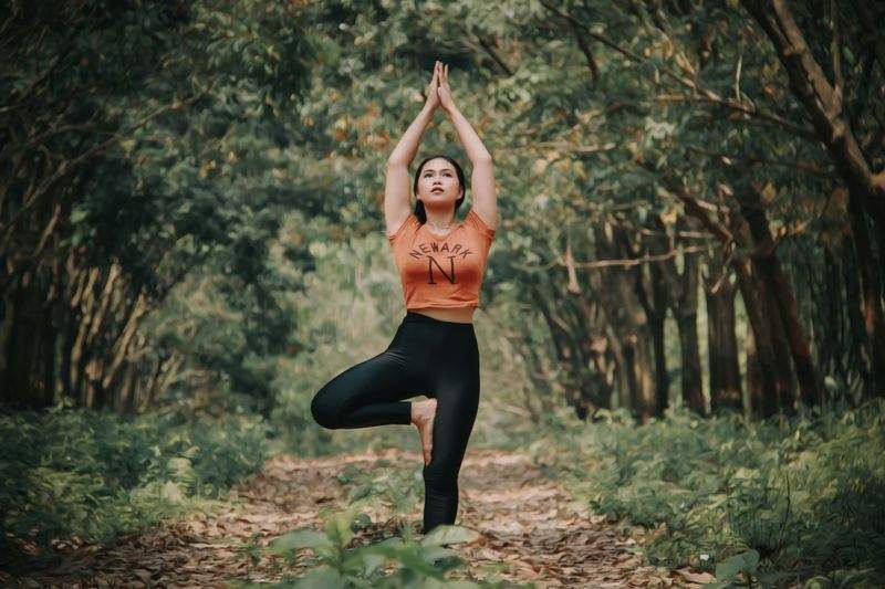 Alpenlicht Yoga Studio
